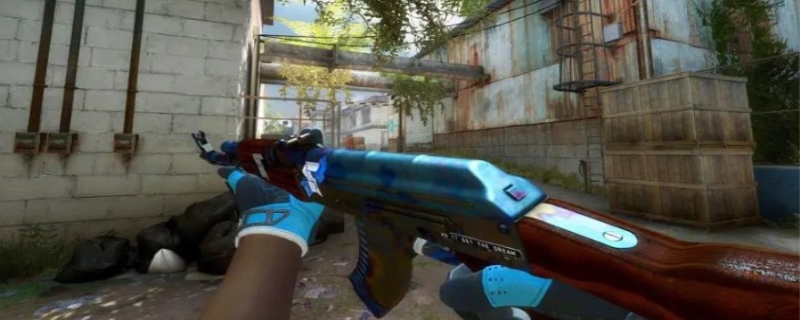 参赛选手们 参赛选手们